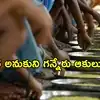 Khammam: అంగన్‌వాడీలో ఎంతటి ఘోరం.. పొరపాటున ఆకుకూరగా భావించి గన్నేరాకు వేసి వంట.. చిన్నారులకు అస్వస్థత