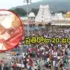 తిరుమల శ్రీవారి కళ్యాణోత్సవం.. కొత్తగా పెళ్లి చేసుకున్న జంటలకు అద్భుత అవకాశం.. ఈ విషయం చాలామందికి తెలియదు
