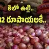 ఏపీ ప్రజలకు శుభవార్త.. కిలో ఉల్లిపాయలు రూ.32కే.. వచ్చే వారం నుంచే విక్రయాలు..