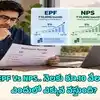 EPF vs NPS.. నెలకు రూ.10 వేలు జమ చేస్తే.. 30 ఏళ్లలో ఎందులో ఎక్కువ వస్తుంది? పూర్తి లెక్కలు ఇవే