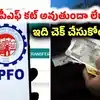 ప్రతి నెలా మీ జీతం నుంచి పీఎఫ్ కట్ అవుతుందా? ఖాతాలో పడుతుందో లేదో ఇలా చెక్ చేసుకోండి!