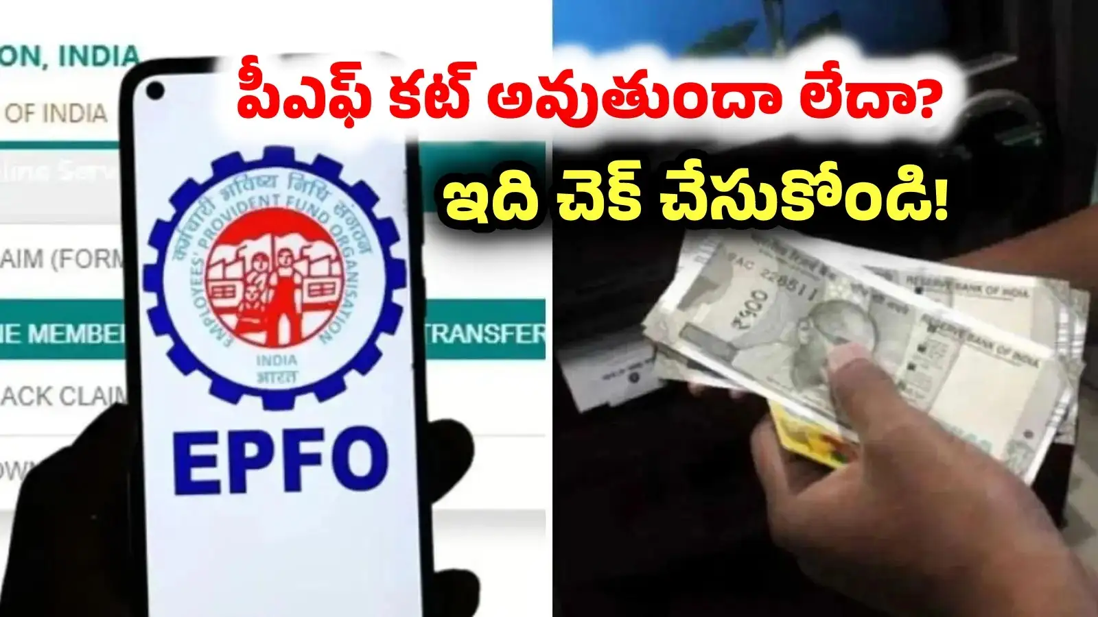 ప్రతి నెలా మీ జీతం నుంచి పీఎఫ్ కట్ అవుతుందా? ఖాతాలో పడుతుందో లేదో ఇలా చెక్ చేసుకోండి! – politics