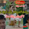 Intinti Ramayanam Serial Today 15 September Episode: భానుమతి అనుమానం తీర్చేందుకు కమల్ కష్టాలు.. కన్నీళ్లు పెట్టుకుంటూనే 