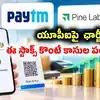 Paytm: యూపీఐపై ఛార్జీలు.. పేటీఎం, పైన్ ల్యాబ్స్ స్టాక్స్‌కు బిగ్ బూస్ట్? భారీగా పెరగనున్నాయా?