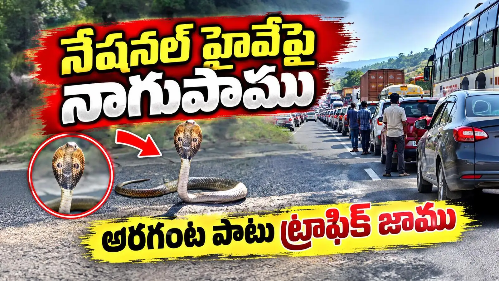 నడిరోడ్డుపై పడగవిప్పిన నాగుపాము.. హడలెత్తిపోయిన జనం – politics