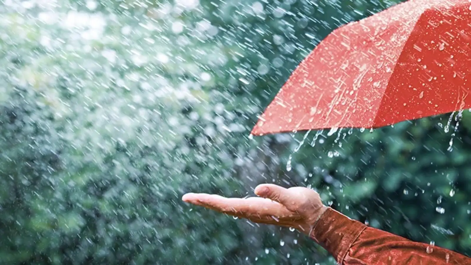 Telangana Weather: ఆవర్తనద్రోణిప్రభావం.. తెలంగాణలోని ఈ జిల్లాల్లో వర్షాలు – politics