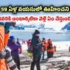 30 ఏళ్లు కష్టపడి పనిచేస్తే 59 ఏళ్ల వయసులో తీసేశారు.. చివరికి అంటార్కిటికాకు వెళ్లిన మహిళ!