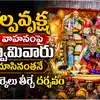 కల్పవృక్ష వాహనంపై గోవుల గోపన్నగా శ్రీనివాసుడు