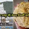 తిరుమల లడ్డూ కేసు.. పామాయిల్, కెమికల్స్‌తో కల్తీ నెయ్యి తయారు చేసిన నిందితుడు అరెస్ట్