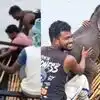 తీస్తా నదిలో 3 కి.మీలు కొట్టుకుపోయిన ఏనుగు పిల్ల.. ప్రాణాలకు తెగించి మరీ కాపాడిన జాలర్లు, వీడియో వైరల్