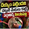 వృద్ధురాలిపై అమానుషంగా ప్రవర్తిస్తూ.. దెయ్యం పట్టిందంటూ..