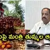 రైతుల నోట్లో మట్టి కొడతారా.. పామ్ ఆయిల్‌‌పై దిగుమతి సుంకాన్ని కేంద్రం తగ్గించడంపై తుమ్మల ఫైర్