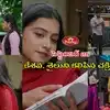 Podarillu Serial Today సెప్టెంబర్ 25 ఎపిసోడ్: మహాని ఉడికించాలని గోపిక వద్ద ఇరుక్కుంటోన్న చక్రి.. బర్త్ డే పార్టీలో మెయిన