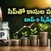 Mutual Funds: ఏడాదిలో ఇవే టాప్ స్కీమ్స్.. 30 శాతానికిపైగా రిటర్న్స్.. రూ. 10 వేల సిప్‌తో దేంట్లో ఎంతొచ్చిందంటే?