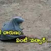 వల్వార్ ఆచారం పేరుతో అమానుషం.. మూడేళ్ల చిన్నారిని 60 ఏళ్ల వృద్ధుడికి ఇచ్చి పెళ్లి