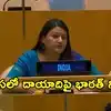 ‘పగలు భద్రత అంటారు.. రాత్రివేళ తీవ్రవాదాన్ని ఉసిగొల్పుతారు’ ఐరాసలో పాక్‌ తీరును ఎండగట్టిన భారత్