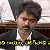 'అది నా జీవితంలో మానని గాయం.. చెప్పలేని దుఃఖం అనుభవిస్తున్నా'.. తమిళనాడు సీఎం విజయం ఎమోషనల్ ట్వీట్