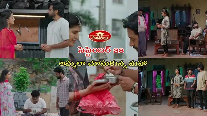 పొదరిల్లు టుడే ఎపిసోడ్ పొదరిల్లు టుడే ఎపిసోడ్