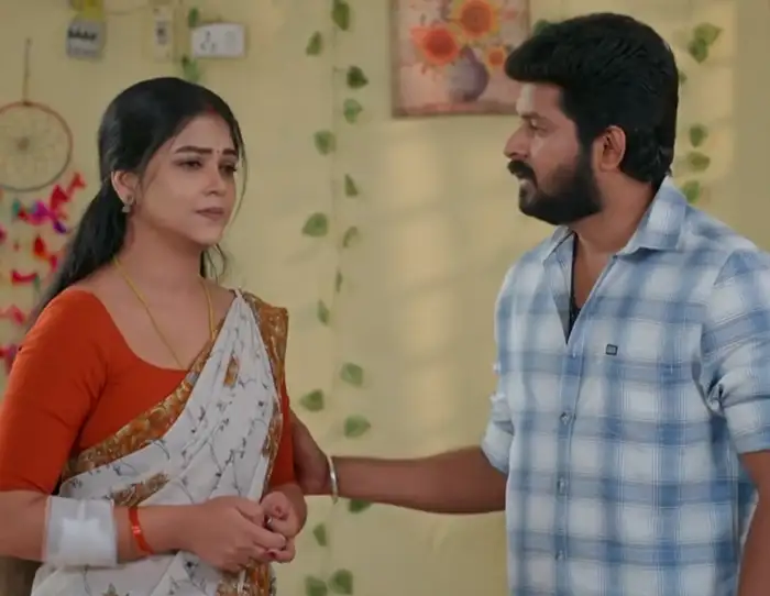 బాధ పడ్డ మీనా..