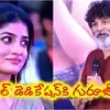 Narayanamma Song: సాంగ్‌లో కాదు.. ఈసారి సినిమాలో కలుద్దాం: డింపుల్‌కి ఓపెన్ ఆఫర్ ఇచ్చిన త్రివిక్రమ్
