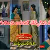 Intinti Ramayanam Today సెప్టెంబర్ 29 ఎపిసోడ్: అత్తను చంపాలనుకున్న పల్లవి.. పసిగట్టి అందరిముందే చెంపలు వాయించిన అవని.. చ