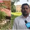 OU Campus Cannabis Plant: 'ఉస్మానియా యూనివర్సిటీలో అలాంటి మెుక్క మెలవటం ఆశ్చర్యకమైన విషయం'