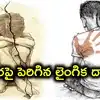 తెలంగాణలో బాలురపై లైంగిక వేధింపులు.. 9 నెలల్లో 62 పోక్సో కేసులు, హైదరాబాద్‌లో అధికం