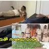 Adilabad: బాబా ఆశ్రమంలో గంజాయి సాగు.. తనిఖీలకు వెళ్లిన సీఐ సహా పోలీసులపై అనుచరులు దాడి