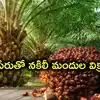 ఆయిల్‌పామ్ రైతులకు కేటుగాళ్ల వల.. తెగులు భయంతో నకిలీ మందుల విక్రయాలు!