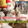 Broiler Chicken Growth Hormones: బ్రాయిలర్ కోళ్లకు హర్మోన్ ఇంజెక్షన్లు ఇస్తారా.. తింటే ప్రమాదమా..? డౌట్ క్లియర్ చేసిన వైరల్ డాక్టర్ విక్రాంత్