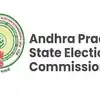 ఏపీ స్థానిక ఎన్నికల పరిశీలకులుగా ఐఏఎస్‌ల నియామకం.. 28 జిల్లాల లిస్ట్ ఇదే, వ్యయ పరిశీలకులుగా మరో 28మంది