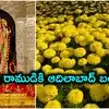 ఆదిలాబాద్ బంతిపూలకు అయోధ్య నుంచి ఆర్డర్.. 2 ఎకరాల్లో సాగుచేసిన రైతుకు రూ.6 లక్షల ఆదాయం