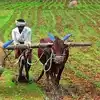 రైతులకు గుడ్‌న్యూస్‌.. రాయితీపై విత్తనాలు, యాసంగిలో ఆరుతడి పంటలకు ప్రోత్సాహం