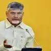రెబల్స్‌ నామినేషన్లు వెనక్కి తీసుకునేలా చూడండి... గీత దాటితే వేటు తప్పదు: సీఎం చంద్రబాబు