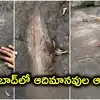 హైదరాబాద్‌ సమీపంలో ఆది మానవుల ఆనవాళ్లు.. చిలుకూరు మృగవాణి పార్కులో రాతి గాడులు, వర్ణచిత్రాలు!
