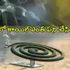 దోమల కోసం మస్కిటో కాయిల్‌ పెడితే.. టింబర్‌ డిపో బుగ్గి, రూ.లక్షల్లో నష్టం