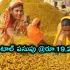 పసుపు రైతులకు పండగే.. కేసముద్రం మార్కెట్‌లో క్వింటాల్‌కు రూ.19,253!