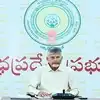 ఏపీలో రేషన్‌కార్డులు ఉన్నవారికి దీపావళి కానుక.. రూ.250కే ఈ మూడు వస్తువులు, చంద్రబాబు ఆదేశాలు