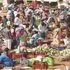 అర్నబ్ తుఫాన్ భయంతో జనాలు ముందు జాగ్రత్త.. దెబ్బకు నిత్యావసర వస్తువుల ధరలు పెరిగాయి
