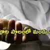 అడవి పందుల కోసం విద్యుత్ ఫెన్సింగ్.. పొలంలోకి వెళ్లి కరెంట్ షాక్‌తో ఇద్దరు ఇంజినీరింగ్ విద్యార్థులు మృతి