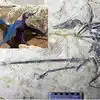 Lord Indra Name For Lizard,డైనోసార్ కడుపులో బల్లి.. ఇంద్రుడి పేరు ...