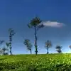 Goa Spice Garden Tour,గోవా మసాలా తోటల్లో పర్యటన... అలసిన మనసులకు ఆలంబన ...