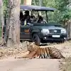Nameri National Park,ప్రపంచంలోనే అతిపెద్ద సీతాకోకచిలుక ఈ పార్కులో ఉంది ...