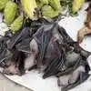 Bat Meat Festival In India,మన దేశంలో కూడా గబ్బిలాలను చంపి తింటారు ...