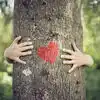 Woman Marries Tree,చెట్టును పెళ్లాడిన మహిళ.. ఆమెకు ఇద్దరు పిల్లలు కూడా ...