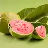 Guava For Cold,జామ కాయ తింటే జలుబు తగ్గుతుందా? చలికాలంలో తినొచ్చా ...