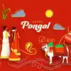 Pongal 2022,సంక్రాంతి అంటే అసలైన అర్థం ఇదే.. - what are the 4 days of ...