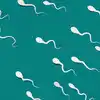 Study On Sperm Count,Sperm Count Decline భారత్ సహా పలు దేశాల్లో ...
