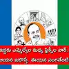 Kasu Krishna Reddy,YSRCP ఎమ్మెల్యే నియోజకవర్గం మారతారని ప్రచారం ...