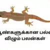 Palli Vilum Palan For Men,பல்லி விழும் பலன்கள் ஆண்களுக்கு – Palli Vilum ...